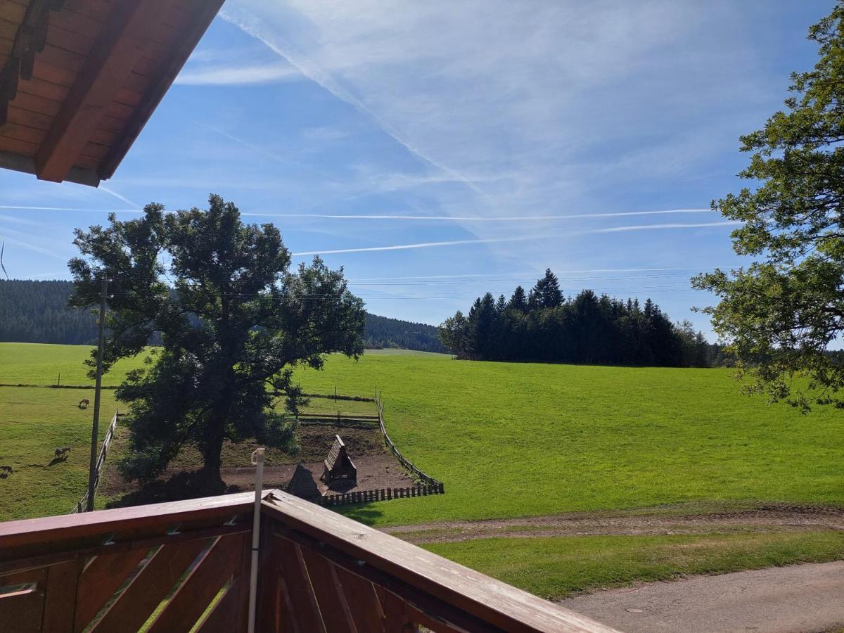 Appartamento Urlaub An Der Grenze Lauterbach  Esterno foto