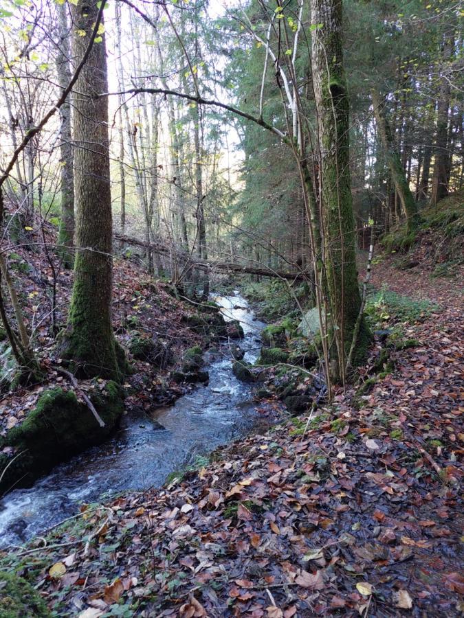 Appartamento Urlaub An Der Grenze Lauterbach  Esterno foto