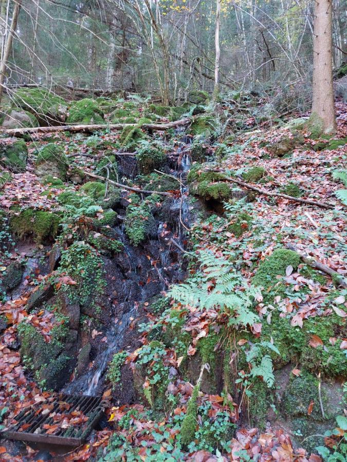 Appartamento Urlaub An Der Grenze Lauterbach  Esterno foto