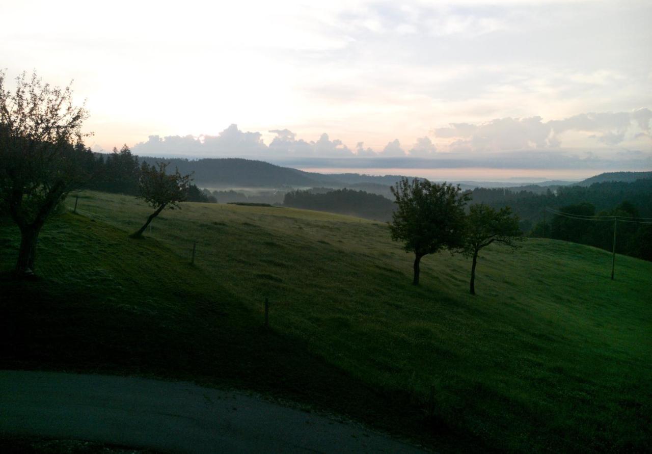 Appartamento Urlaub An Der Grenze Lauterbach  Esterno foto