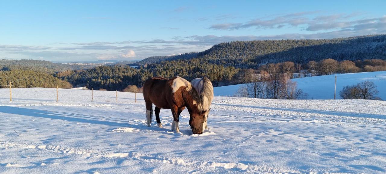 Appartamento Urlaub An Der Grenze Lauterbach  Esterno foto