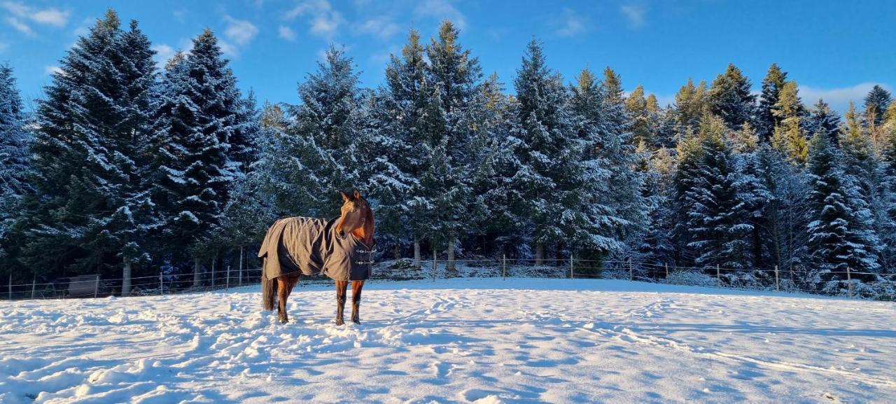 Appartamento Urlaub An Der Grenze Lauterbach  Esterno foto